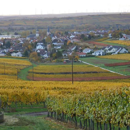 An Den Weingaerten Langenlonsheim
