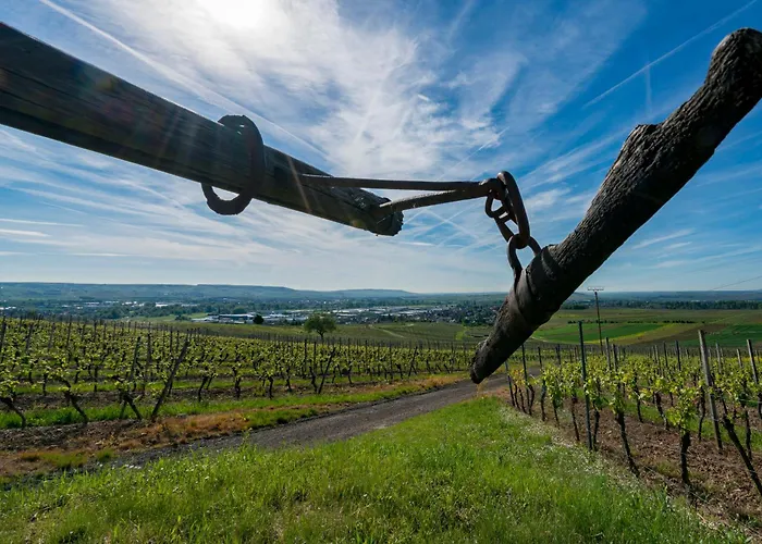דירה An Den Weingaerten Langenlonsheim