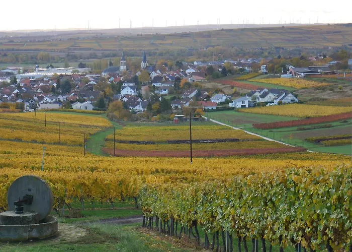 An Den Weingaerten Langenlonsheim
