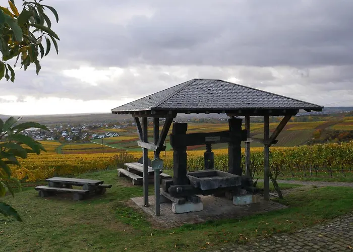 An Den Weingaerten דירה